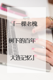 一棵老槐树下的百年大连记忆