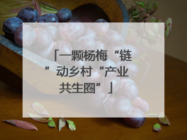 一颗杨梅“链”动乡村“产业共生圈”