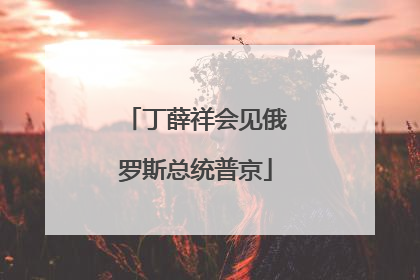 丁薛祥会见俄罗斯总统普京