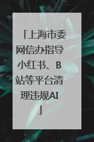 上海市委网信办指导小红书、B站等平台清理违规AI