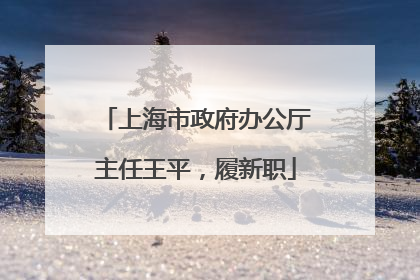上海市政府办公厅主任王平，履新职