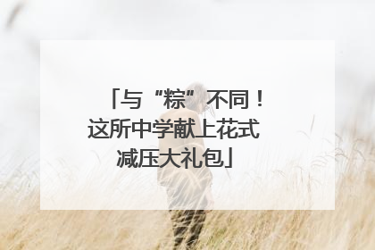 与“粽”不同！这所中学献上花式减压大礼包