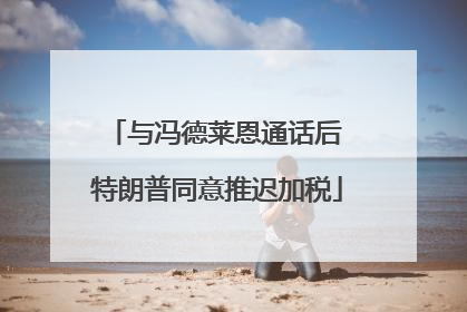 与冯德莱恩通话后 特朗普同意推迟加税