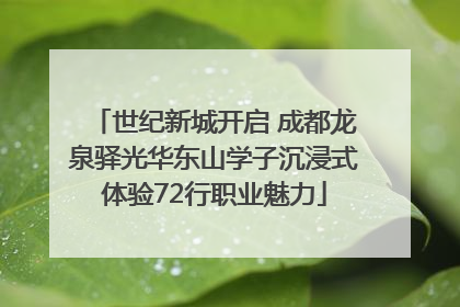 世纪新城开启 成都龙泉驿光华东山学子沉浸式体验72行职业魅力