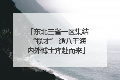 东北三省一区集结“揽才” 逾八千海内外博士奔赴而来