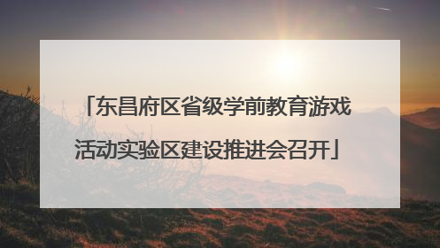 东昌府区省级学前教育游戏活动实验区建设推进会召开