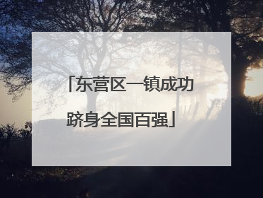 东营区一镇成功跻身全国百强