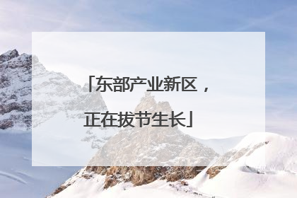 东部产业新区，正在拔节生长