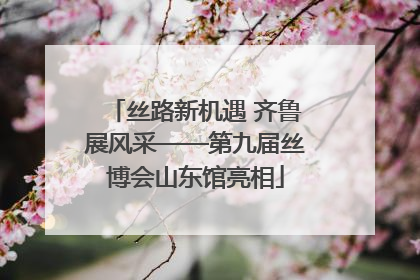 丝路新机遇 齐鲁展风采——第九届丝博会山东馆亮相