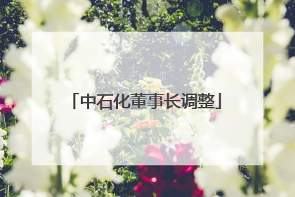 中石化董事长调整
