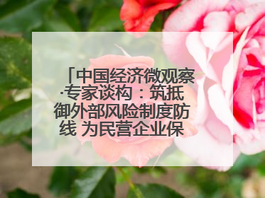 中国经济微观察·专家谈构：筑抵御外部风险制度防线 为民营企业保驾护航