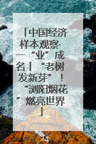 中国经济样本观察·一“业”成名丨“老树发新芽”！“浏阳烟花”燃亮世界