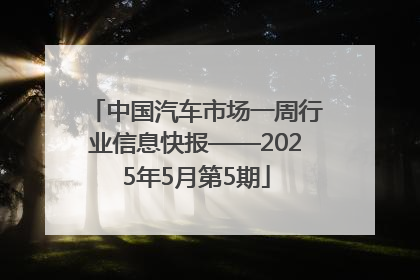 中国汽车市场一周行业信息快报——2025年5月第5期