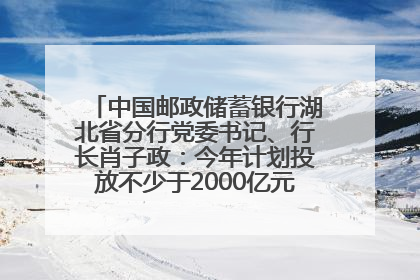 中国邮政储蓄银行湖北省分行党委书记、行长肖子政：今年计划投放不少于2000亿元支持支点建设