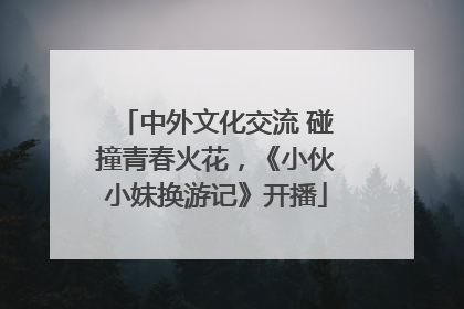 中外文化交流 碰撞青春火花，《小伙小妹换游记》开播