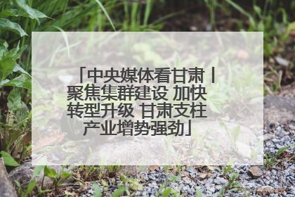 中央媒体看甘肃丨聚焦集群建设 加快转型升级 甘肃支柱产业增势强劲