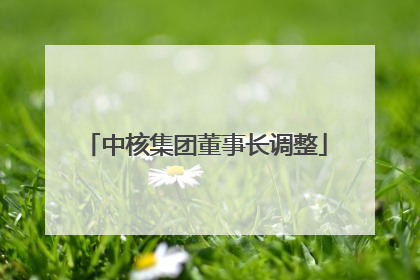 中核集团董事长调整