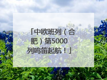 中欧班列（合肥）第5000列鸣笛起航！