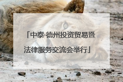 中泰·德州投资贸易暨法律服务交流会举行