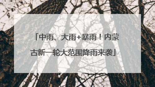 中雨、大雨+暴雨！内蒙古新一轮大范围降雨来袭
