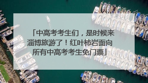 中高考考生们，是时候来淄博旅游了！红叶柿岩面向所有中高考考生免门票