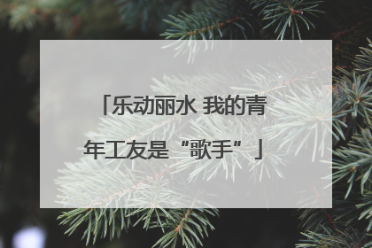 乐动丽水 我的青年工友是“歌手”