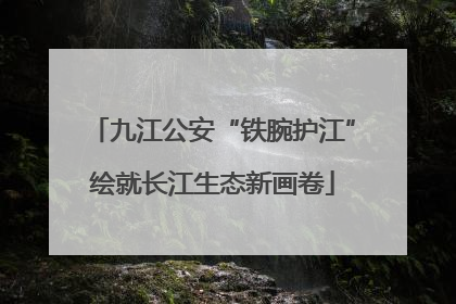 九江公安“铁腕护江”绘就长江生态新画卷