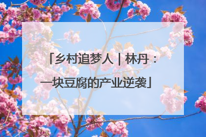 乡村追梦人｜林丹：一块豆腐的产业逆袭