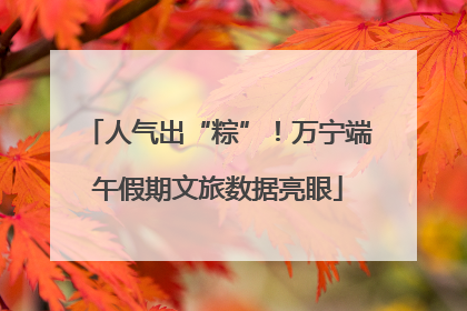 人气出“粽”！万宁端午假期文旅数据亮眼