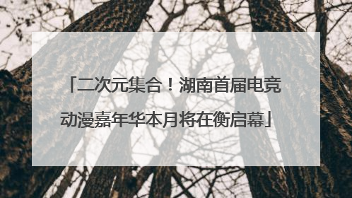 二次元集合！湖南首届电竞动漫嘉年华本月将在衡启幕