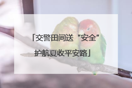 交警田间送“安全” 护航夏收平安路