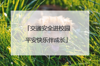 交通安全进校园 平安快乐伴成长
