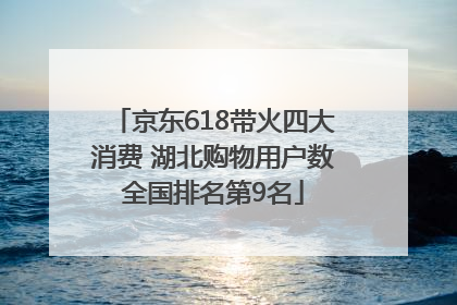 京东618带火四大消费 湖北购物用户数全国排名第9名
