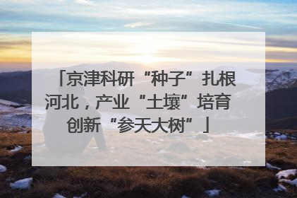 京津科研“种子”扎根河北，产业“土壤”培育创新“参天大树”