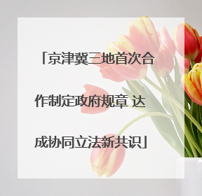 京津冀三地首次合作制定政府规章 达成协同立法新共识