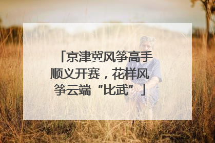 京津冀风筝高手顺义开赛，花样风筝云端“比武”
