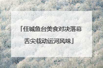 任城鱼台美食对决落幕 舌尖载动运河风味