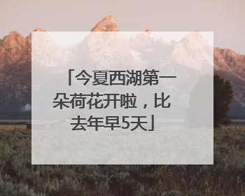 今夏西湖第一朵荷花开啦，比去年早5天