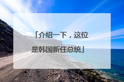 介绍一下，这位是韩国新任总统