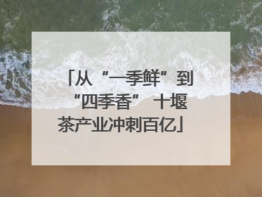 从“一季鲜”到“四季香” 十堰茶产业冲刺百亿