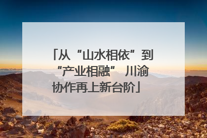 从“山水相依”到“产业相融” 川渝协作再上新台阶