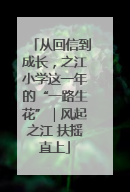 从回信到成长，之江小学这一年的“一路生花”｜风起之江 扶摇直上
