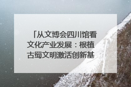从文博会四川馆看文化产业发展：根植古蜀文明激活创新基因｜文博向“新”