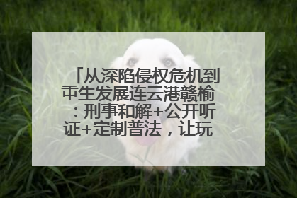 从深陷侵权危机到重生发展连云港赣榆：刑事和解+公开听证+定制普法，让玩具公司回到正轨