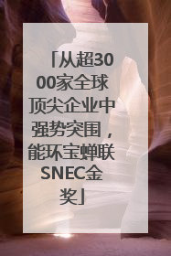 从超3000家全球顶尖企业中强势突围，能环宝蝉联SNEC金奖