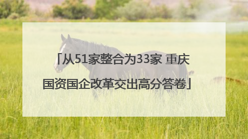 从51家整合为33家 重庆国资国企改革交出高分答卷