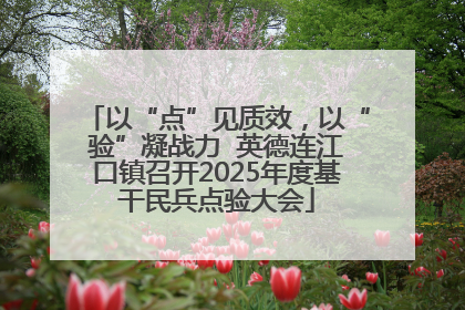 以“点”见质效，以“验”凝战力  英德连江口镇召开2025年度基干民兵点验大会