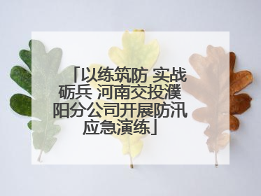 以练筑防 实战砺兵 河南交投濮阳分公司开展防汛应急演练