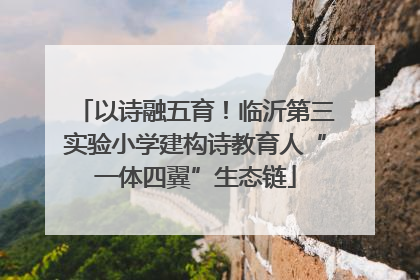 以诗融五育！临沂第三实验小学建构诗教育人“一体四翼”生态链