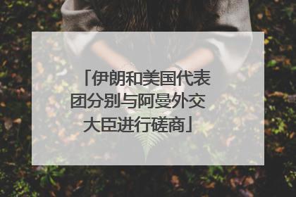 伊朗和美国代表团分别与阿曼外交大臣进行磋商